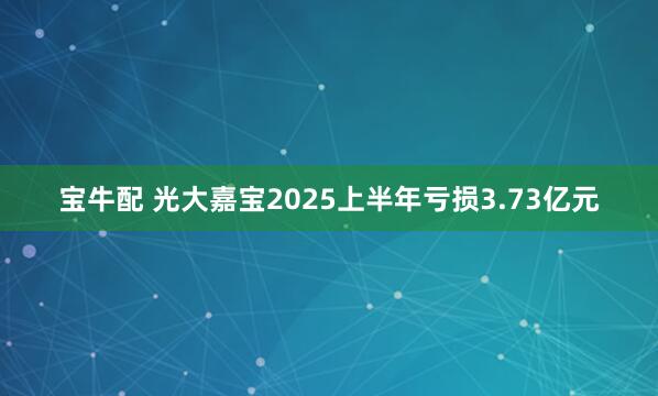 宝牛配 光大嘉宝2025上半年亏损3.73亿元